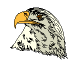 A golden eagle free counted cross stitch pattern