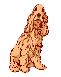 brown pet dog