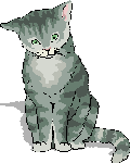a grey cat sitting