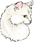white cat bust