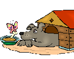 a dog in a kennel with a butterfly fiend