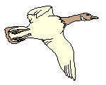 a flying goose
