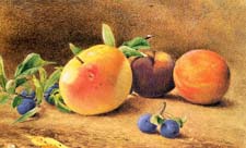 Heem, Jan Davidz de (Dutch, approx. 1606-1684) Still Life with Fruit, 1652, oil on panel, Nrdon Galerie, Prague.