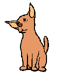布朗寻找小猫可爱 