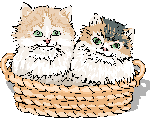 两个可爱的小猫在一篮子 