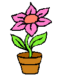  花盆 