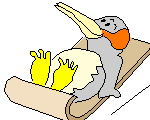 企鹅日光浴  