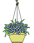 一群鮮花