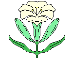 簡單容易鮮花