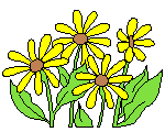 各類鮮花