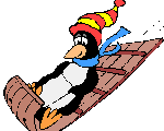 penguin sliding down the mountain